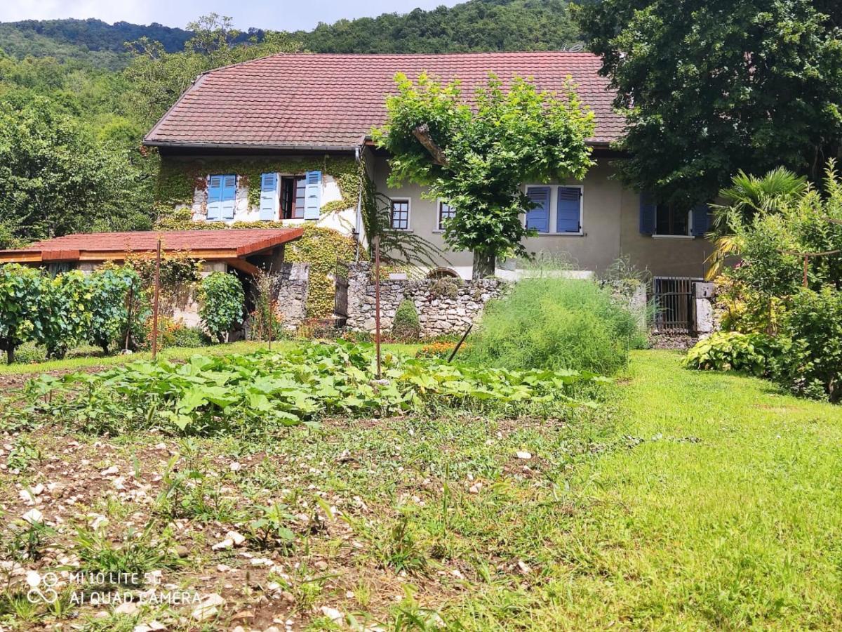 Du Vent Dans Les Arbres -120M2 Belle Vue Sur Le Lac Chindrieux Exterior photo